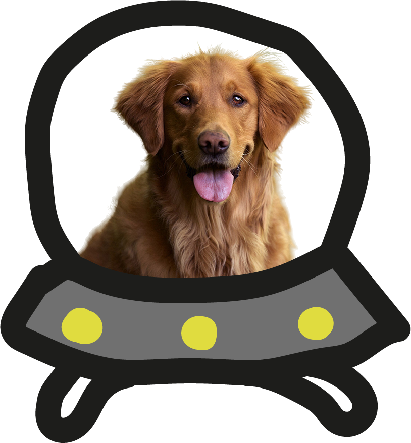 Decoración flotante